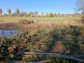 IMG_20220423_082742