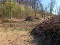 IMG_20220423_100826