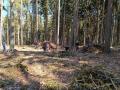 IMG_20220423_103503