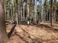 IMG_20220423_114937