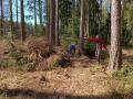 IMG_20220423_115025