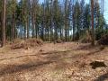 IMG_20220423_122738
