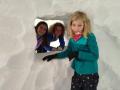 IMG-20250119-WA0016