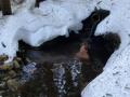 IMG-20250119-WA0021