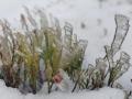 IMG-20260118-WA0005