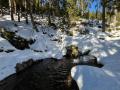 IMG-20260118-WA0033