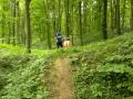 IMG_20210622_173641