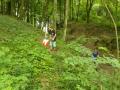 IMG_20210622_174233