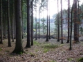 p1000046_2
