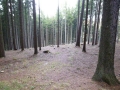 p1000048_2