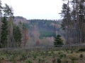 p1000051_2