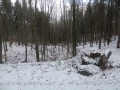 p2010241