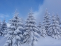 20170115_101743