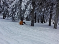 IMG_20180121_114541