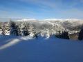 IMG_20230205_101819