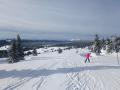 IMG_20230205_134740
