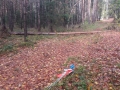 20171029_111426