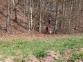 IMG_20250413_120643