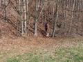 IMG_20250413_123703_1