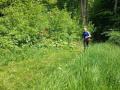 IMG_20250517_110308