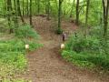 IMG_20250517_113130