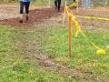 IMG-20251026-WA0021