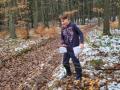 IMG-20241125-WA0024