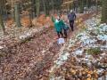 IMG-20241125-WA0038
