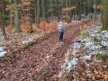 IMG-20241125-WA0040