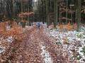 IMG_20241124_140836