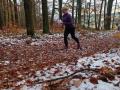 IMG_20241124_143050